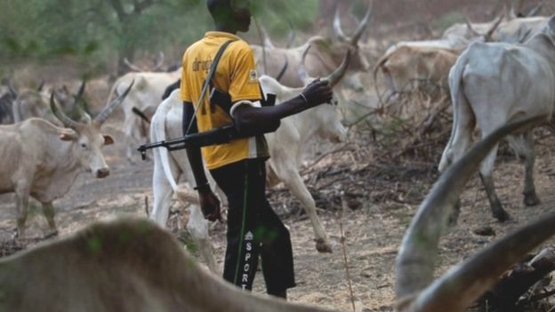 Fulani Cattle Rustlers Kill 11 Soldiers In Kaduna