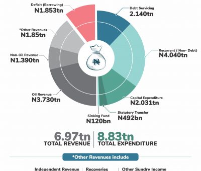 2019 Budget Report – Nigeria Still Far Behind – BudgIT