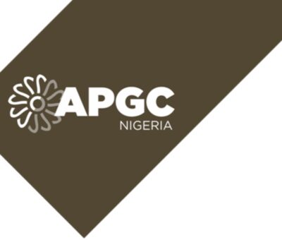 Power Generation:  APGC Appoints New Chairman, Replaces Nnorom in Board of Trustees