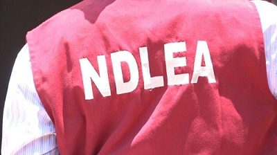 Illicit Drugs War: Marwa Seeks More Effort From NDLEA Officers, Boosts Morale With Cash Rewards