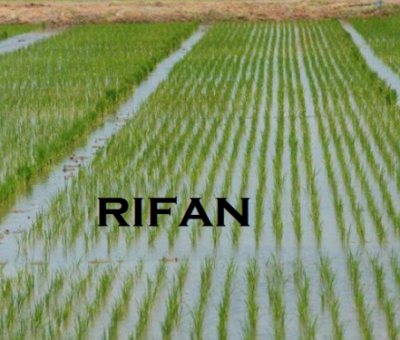 Agriculture Finance: RIFAN Commends Unity Bank for Supporting Smallholder Farmers