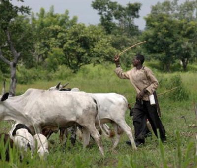 Open Grazing: Leadership Watch Tasks South East Houses Of Assembly On Laws Criminalising Act