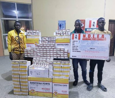 Illicit Drugs: NDLEA  Arrests Cross Border Traffickers In Adamawa,  Lagos,  Plateau States