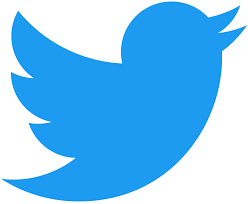 Twitter Ban Annulment:  Federal Government Reveals Details Of Agreement Reached