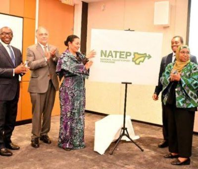 Youth Employment: Nigeria’s Trade Minister Dr. Uzoka-Anite Launches NATEP in New York