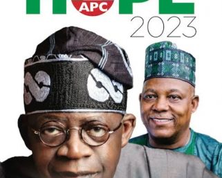 Renewed Hope Agenda will not Solve Nigeria’s Economic Woes – Renowned Economist Warns