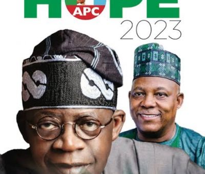 Renewed Hope Agenda will not Solve Nigeria’s Economic Woes – Renowned Economist Warns