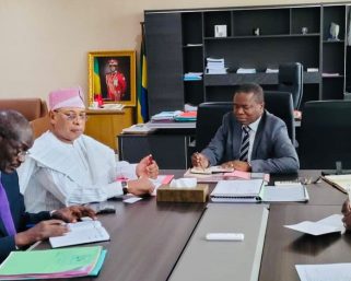 Gabon Shows Support for MOWCA Workshop, Commends Adalikwu