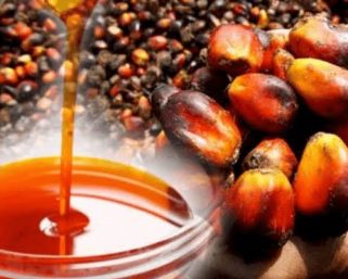 Palm Oil Import: Nigeria Can Save N94 Billion in Forex – SON