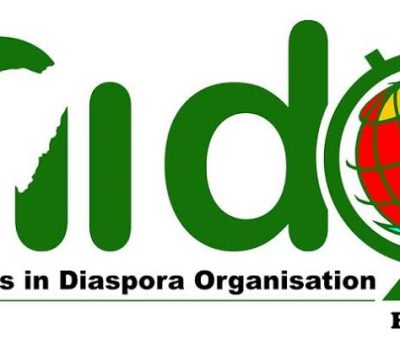 Alleged Fraudulent Activity: NIDO Europe Disavows Godwin Ibe