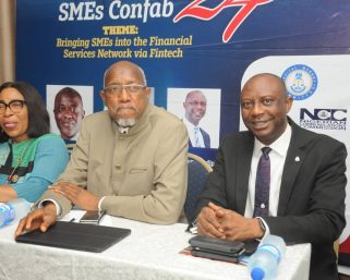 SMEs Growth in Nigeria: Experts Recognise the Crucial Role of Fintech