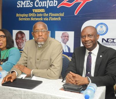 SMEs Growth in Nigeria: Experts Recognise the Crucial Role of Fintech
