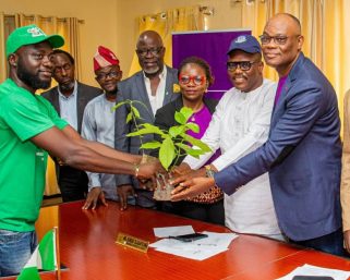 Environmental Protection: Polaris Bank, NCF Join Forces to Plant Trees
