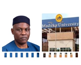 Medical Tourism Costs Nigeria $2.39 Billion in 2024 – Onyishi