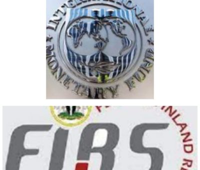 IMF Commends FIRS for Significant Progress