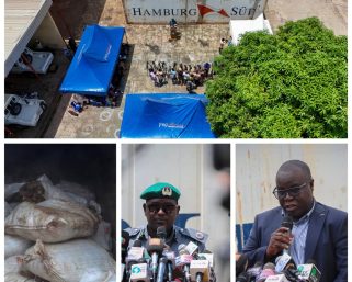 Nigeria Customs Intercepts Container with Over 10,000 Donkey Genitals