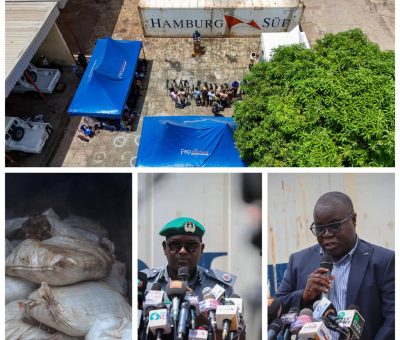 Nigeria Customs Intercepts Container with Over 10,000 Donkey Genitals