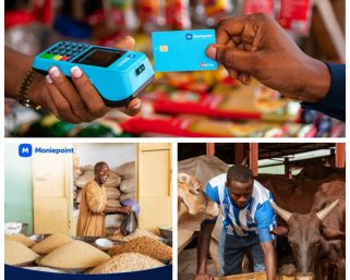 Festive Seasons Bring Boom to Nigeria’s Livestock Markets – Moniepoint Study Reveals
