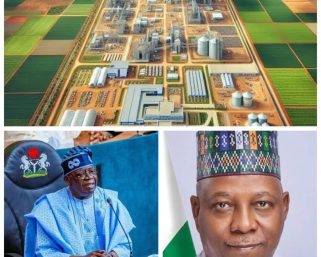 Vice-president Shettima Flags Off Agribusiness Hubs, Pledges Support for Farmers