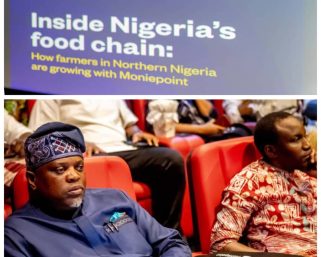 Moniepoint’s Documentary Showcasing Resilience of North East’s Agricultural Value Chain Earns Commendation from Nigerian Government, Others