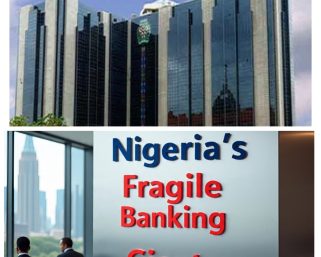 How Policy Missteps Weigh Down Nigeria’s Fragile Banking Giants
