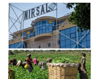 NIRSAL Facilitates N70bn in Agricultural Financing, Boosts Food Security and Economic Growth