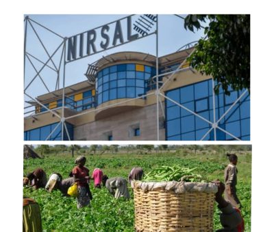 NIRSAL Facilitates N70bn in Agricultural Financing, Boosts Food Security and Economic Growth