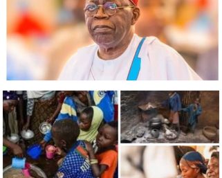 Nigeria’s Poverty Paradox: 139 Million and Counting Despite Purported Reform Gains