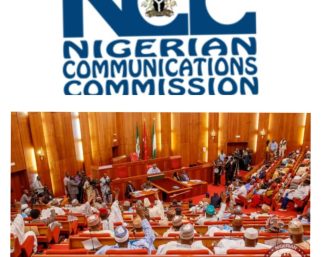 Nigerian Senate Confirms New NCC Board Members