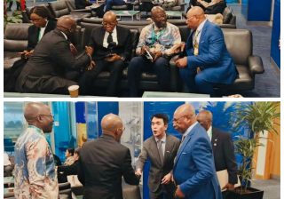 MOWCA Explains Why Nigeria’s Return to IMO Council Was a Priority