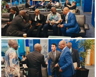 MOWCA Explains Why Nigeria’s Return to IMO Council Was a Priority