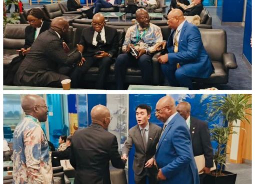 MOWCA Explains Why Nigeria’s Return to IMO Council Was a Priority