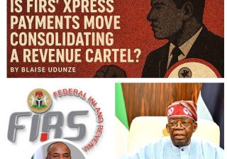 A Nation on Alert: Is FIRS’ Xpress Payments Move Consolidating a Revenue Cartel?