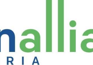 Open Alliance Condemns Senate’s Move to Halt Electronic Transmission of Election Results