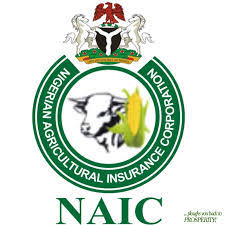 NAIC Resumes Operations After Fire Incident at Abuja Headquarters