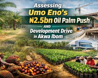 Assessing Umo Eno’s ₦2.5bn Oil Palm Push and Development Drive in Akwa Ibom