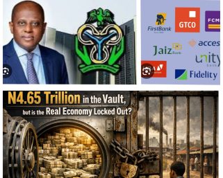 N4.65 Trillion in the Vault, but is the Real Economy Locked Out?