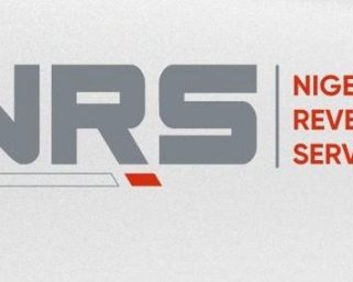 Nigerian Government Denies Introducing New Vehicle Tax, Labels Viral Infographic Fake