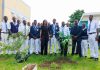 UBA Foundation Marks World Environment Day with Tree-Planting Exercise at King’s College