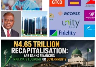 N4.65Trn Recapitalisation: Are Banks Financing Nigeria’s Economy or Government?