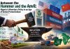 Between the Hammer and the Anvil: Nigeria’s Monetary Policy in an Age of Global Protectionism