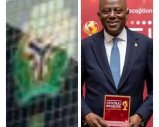 CBN Wins NES Distinguished Organisation Award for Economic Reforms