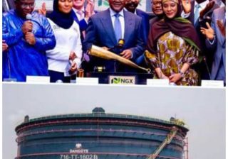 Dangote’s People’s IPO vs Petrol Prices the People Can’t Afford