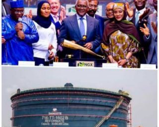 Dangote’s People’s IPO vs Petrol Prices the People Can’t Afford