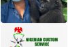Nigeria Customs Repatriates Rescued Baby Gorilla to Congo in First Full-Cycle Wildlife Operation
