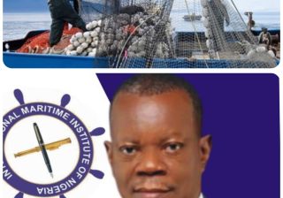 Nigeria’s Seafood Import Bill Rises Despite Vast Fisheries Potential – IMION President 