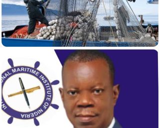 Nigeria’s Seafood Import Bill Rises Despite Vast Fisheries Potential – IMION President 