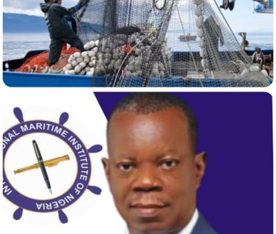 Nigeria’s Seafood Import Bill Rises Despite Vast Fisheries Potential – IMION President 